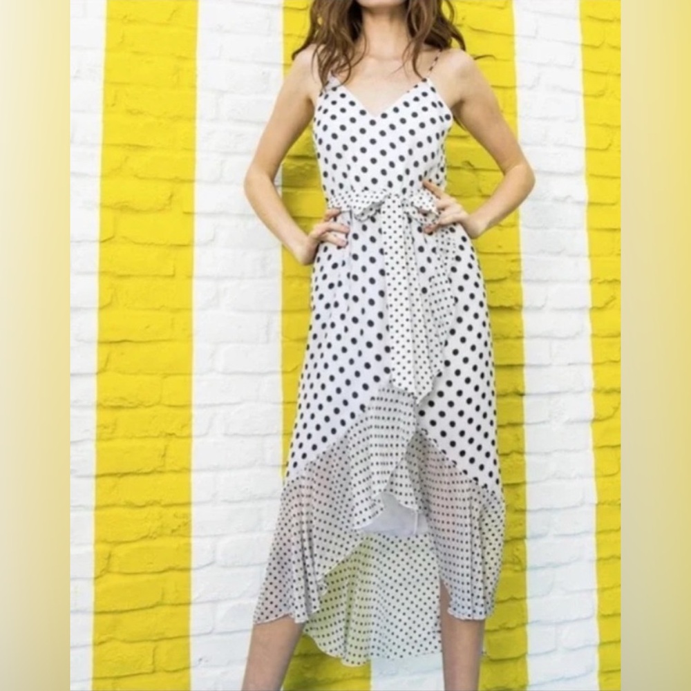 Alice+Olivia mable dress polka dot dress size 2
